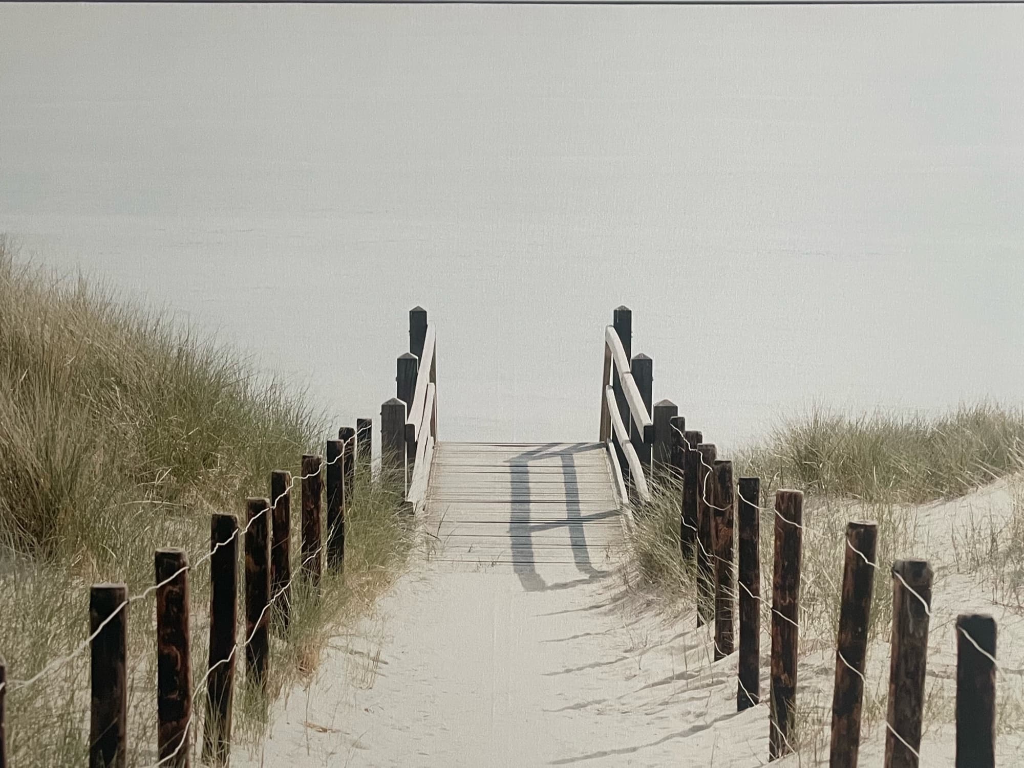 Dune Path View 1