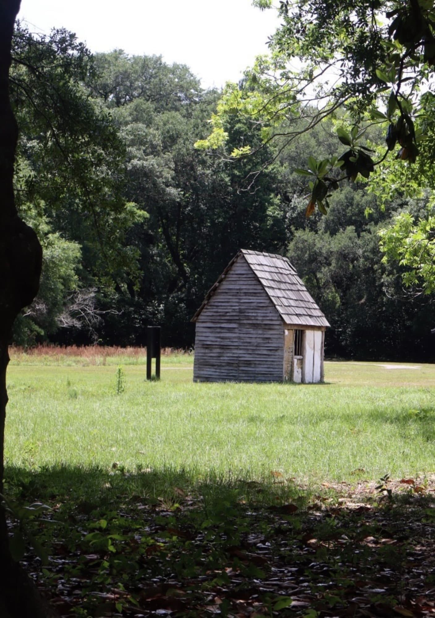 Historic Cabin Meadow